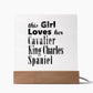 Cavalier King Charles Spaniel - Square Acrylic Plaque