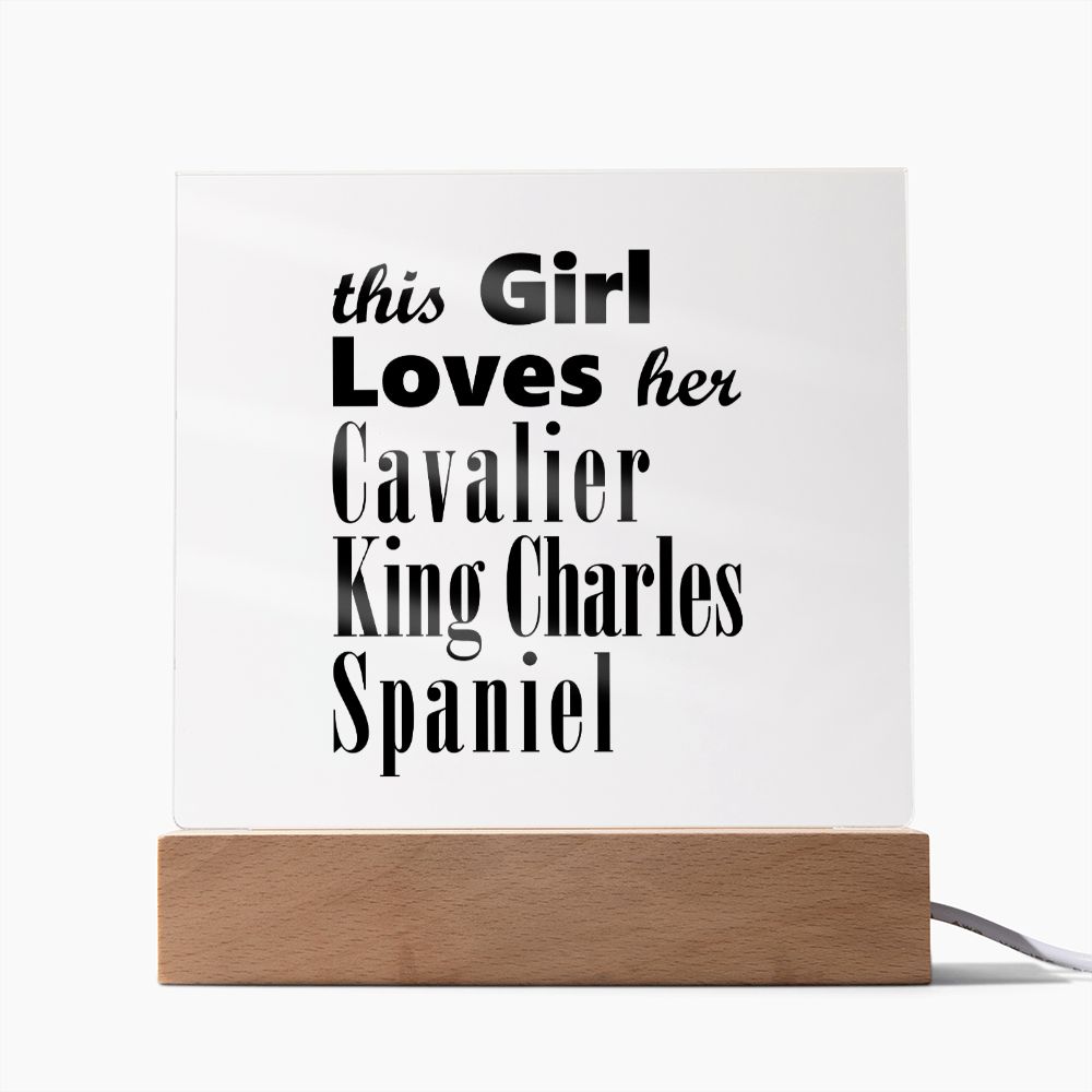 Cavalier King Charles Spaniel - Square Acrylic Plaque