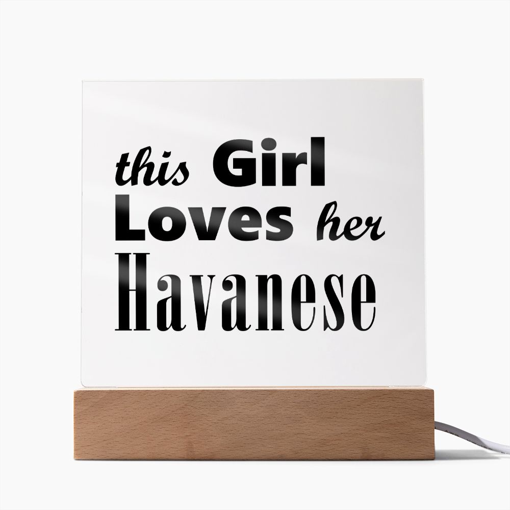 Havanese - Square Acrylic Plaque