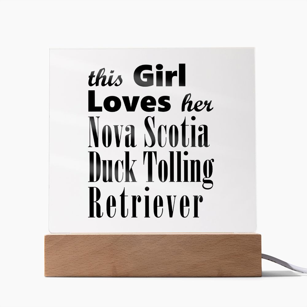 Nova Scotia Duck Tolling Retriever - Square Acrylic Plaque