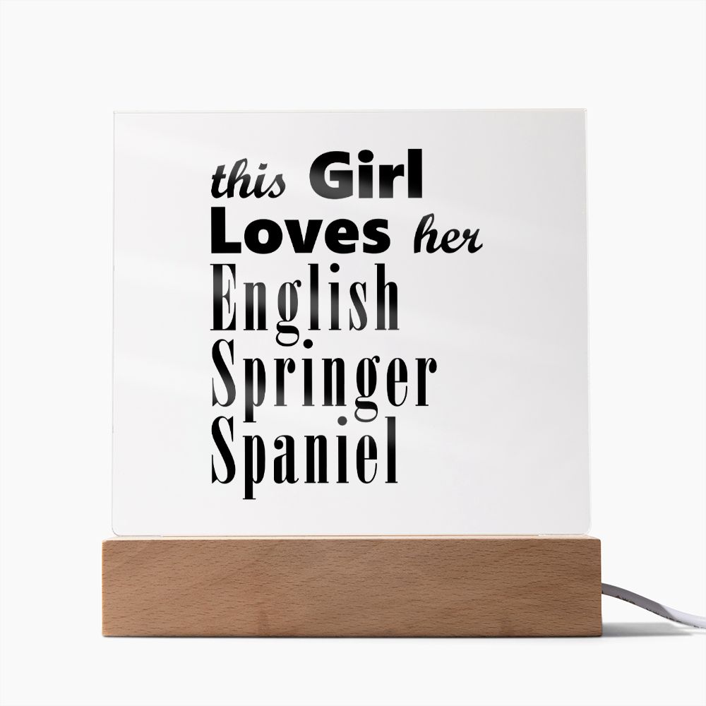 English Springer Spaniel - Square Acrylic Plaque
