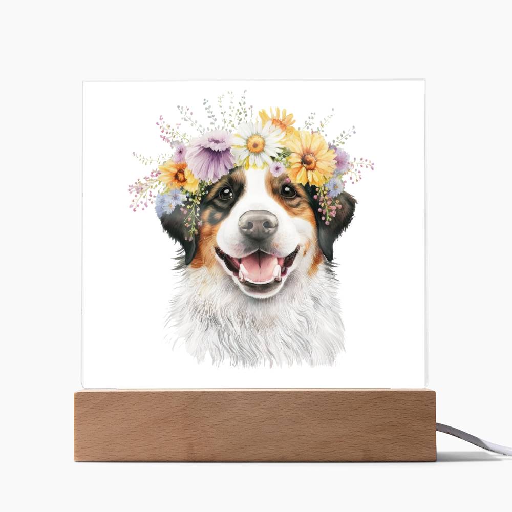 Dog And Spring Flowers (Watercolor) 09 - Square Acrylic Plaque