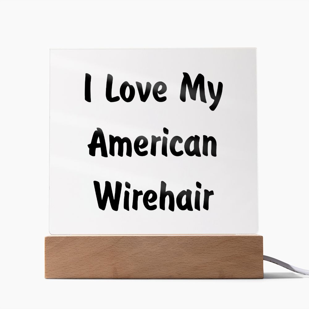 Love My American Wirehair - Square Acrylic Plaque