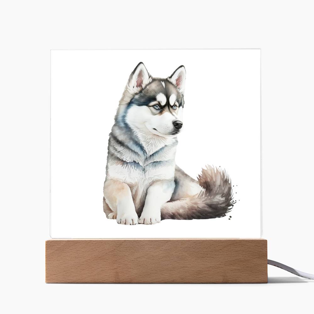 Dog Lover Collection (Watercolor) 04 - Square Acrylic Plaque