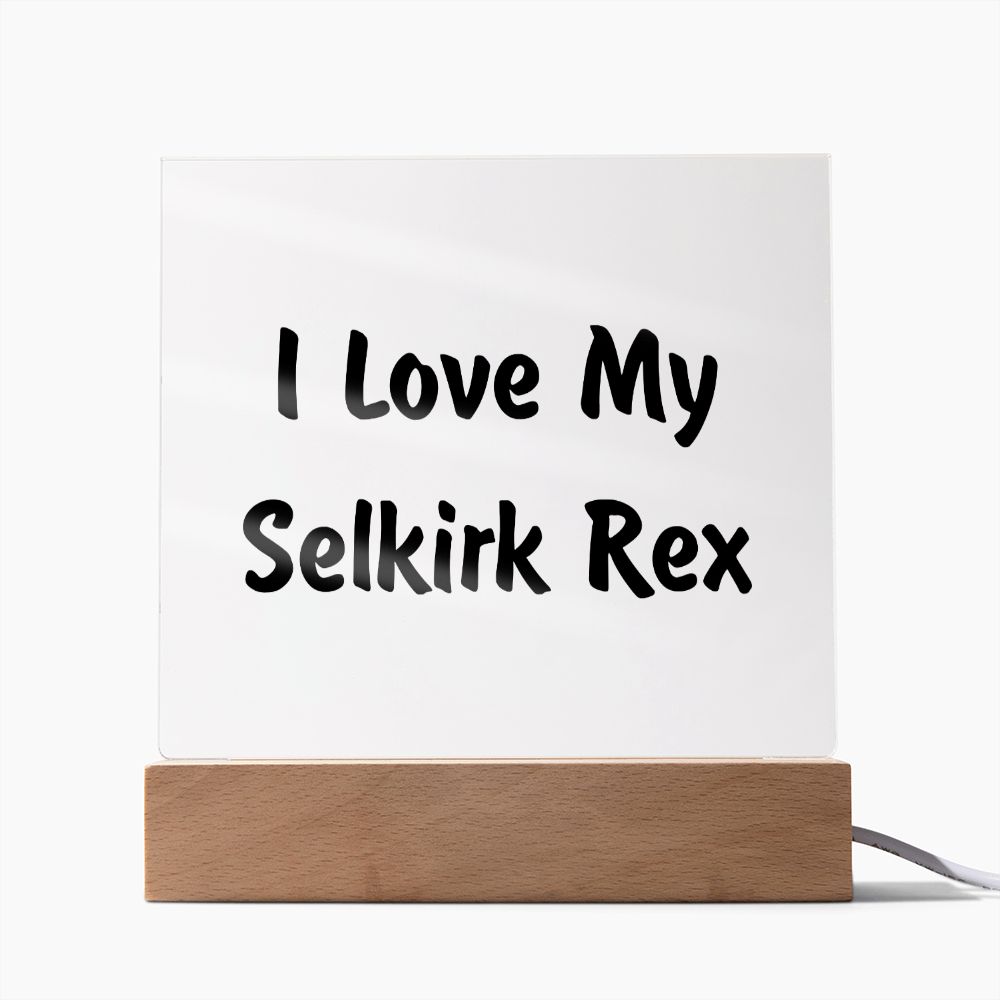 Love My Selkirk Rex - Square Acrylic Plaque