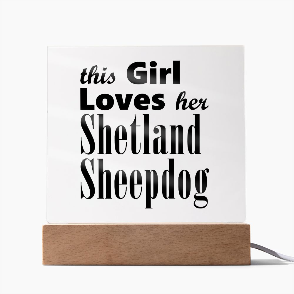 Shetland Sheepdog - Square Acrylic Plaque