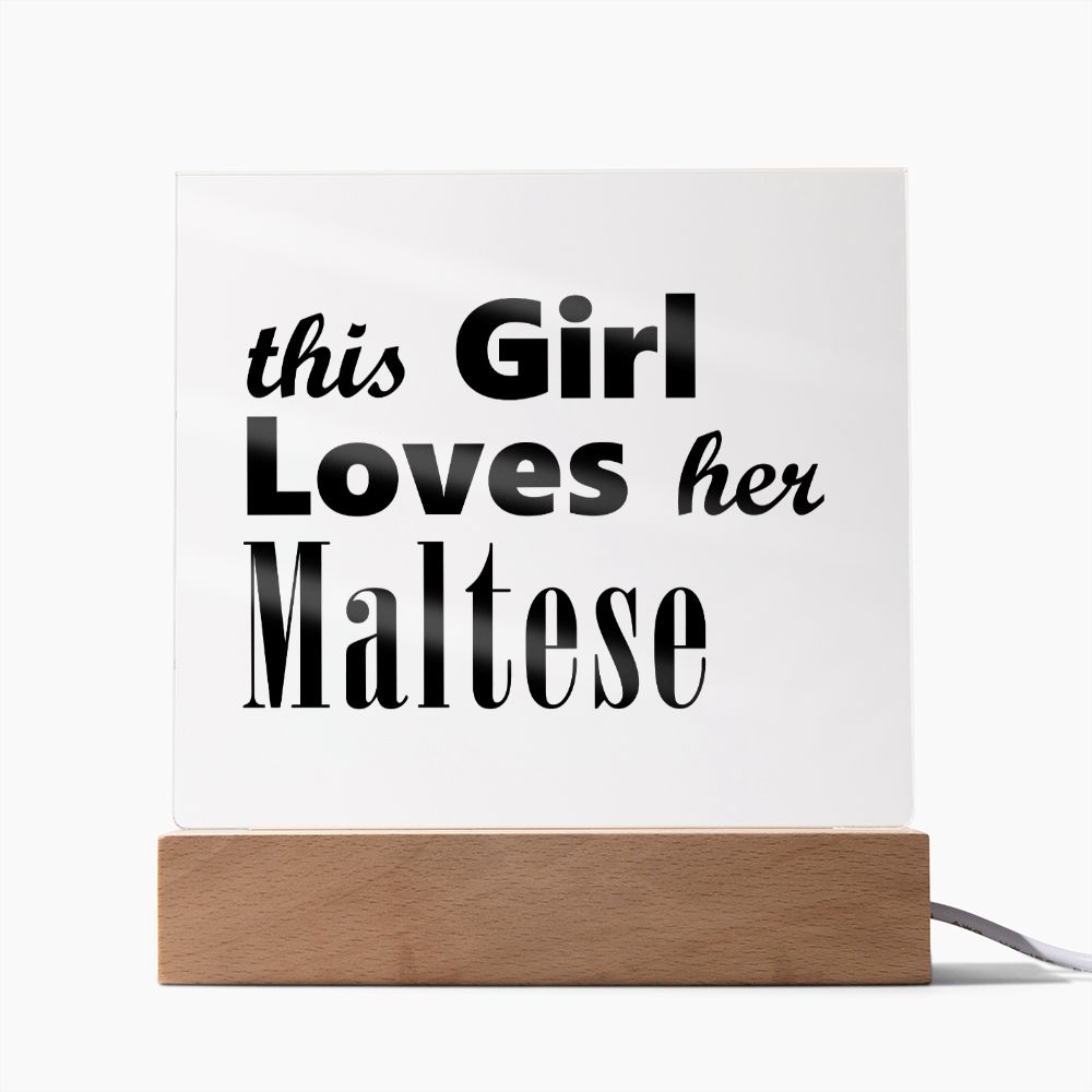 Maltese - Square Acrylic Plaque