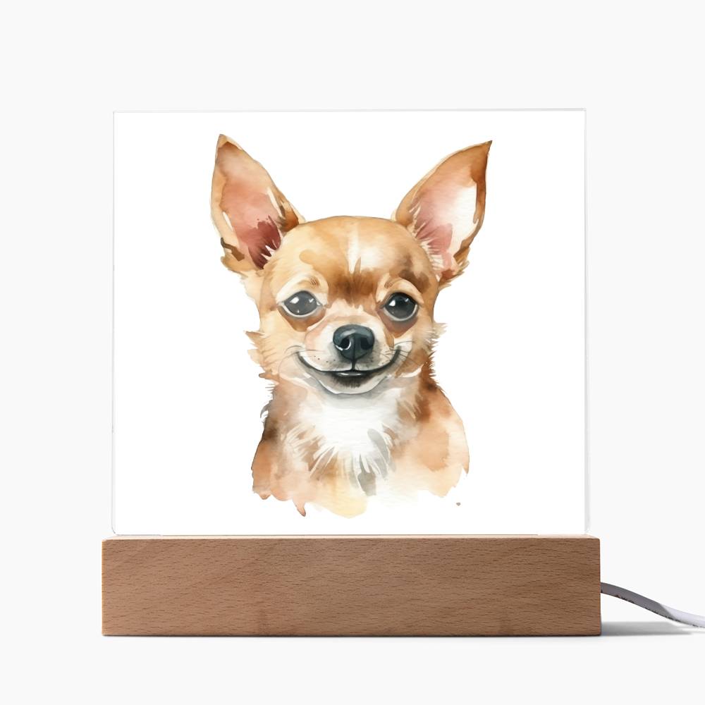Chihuahua (Watercolor) 04 - Square Acrylic Plaque