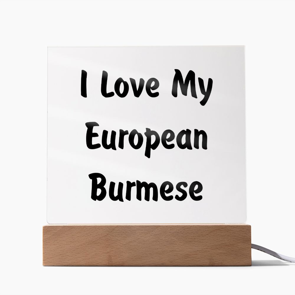 Love My European Burmese - Square Acrylic Plaque