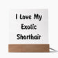 Love My Exotic Shorthair - Square Acrylic Plaque