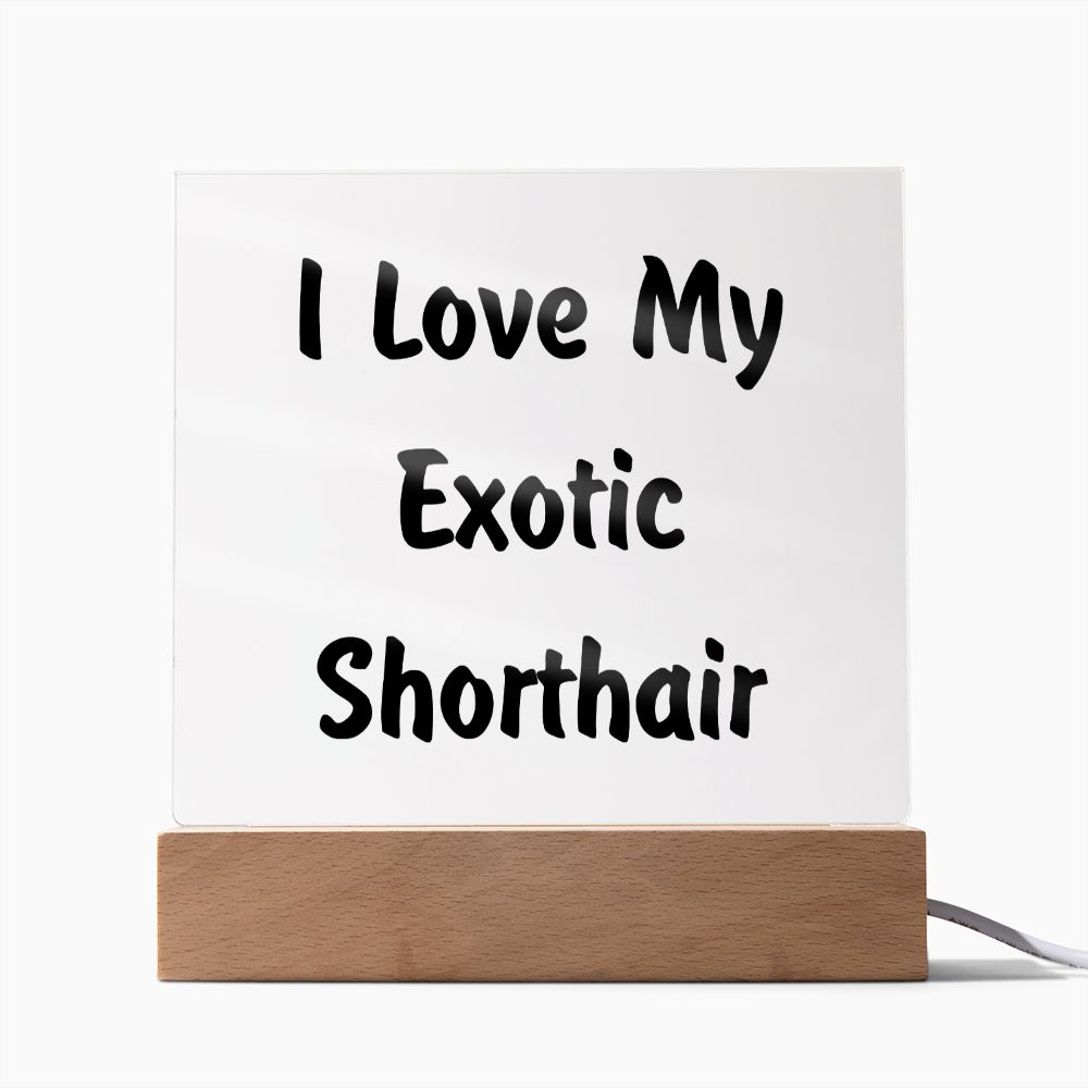 Love My Exotic Shorthair - Square Acrylic Plaque