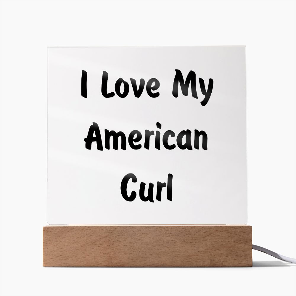 Love My American Curl - Square Acrylic Plaque