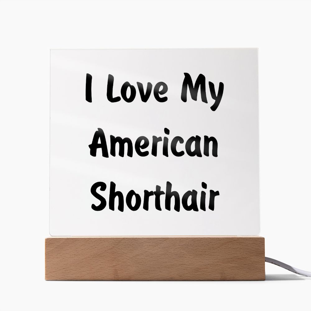 Love My American Shorthair - Square Acrylic Plaque