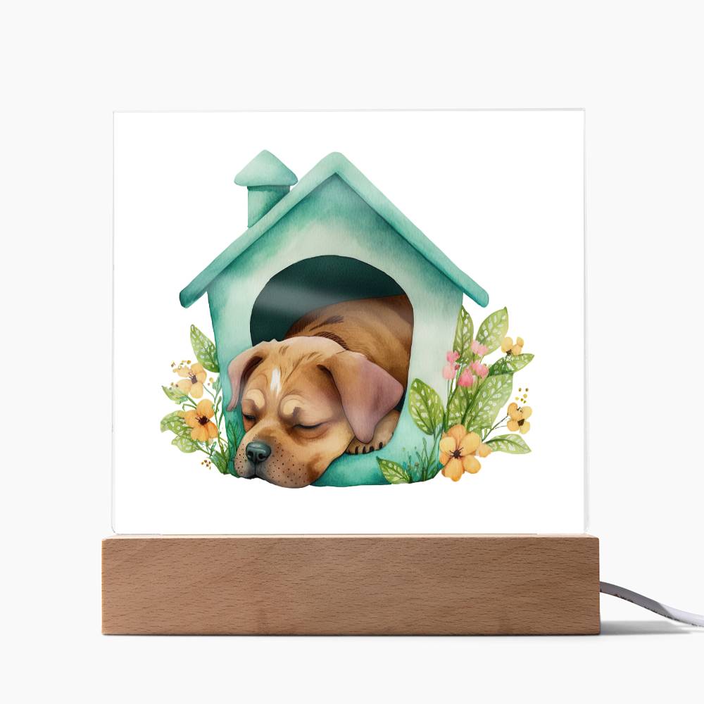 Dog Sleeping (Watercolor) 08 - Square Acrylic Plaque