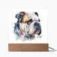 Bulldog (Watercolor) 01 - Square Acrylic Plaque