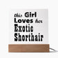 Exotic Shorthair - Square Acrylic Plaque