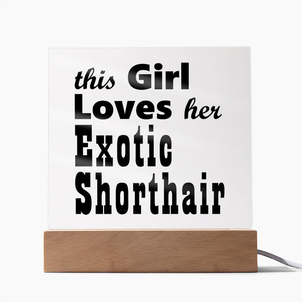 Exotic Shorthair - Square Acrylic Plaque