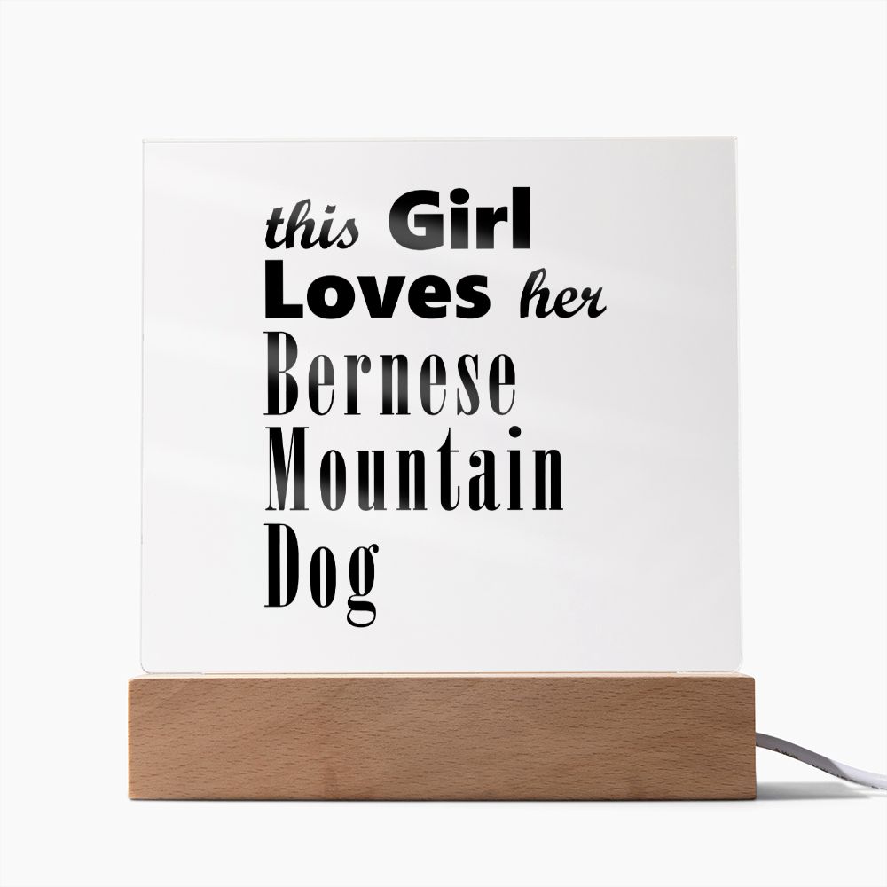 Bernese Mountain Dog - Square Acrylic Plaque