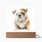 Dog Lover Collection (Watercolor) 09 - Square Acrylic Plaque