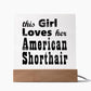 American Shorthair - Square Acrylic Plaque