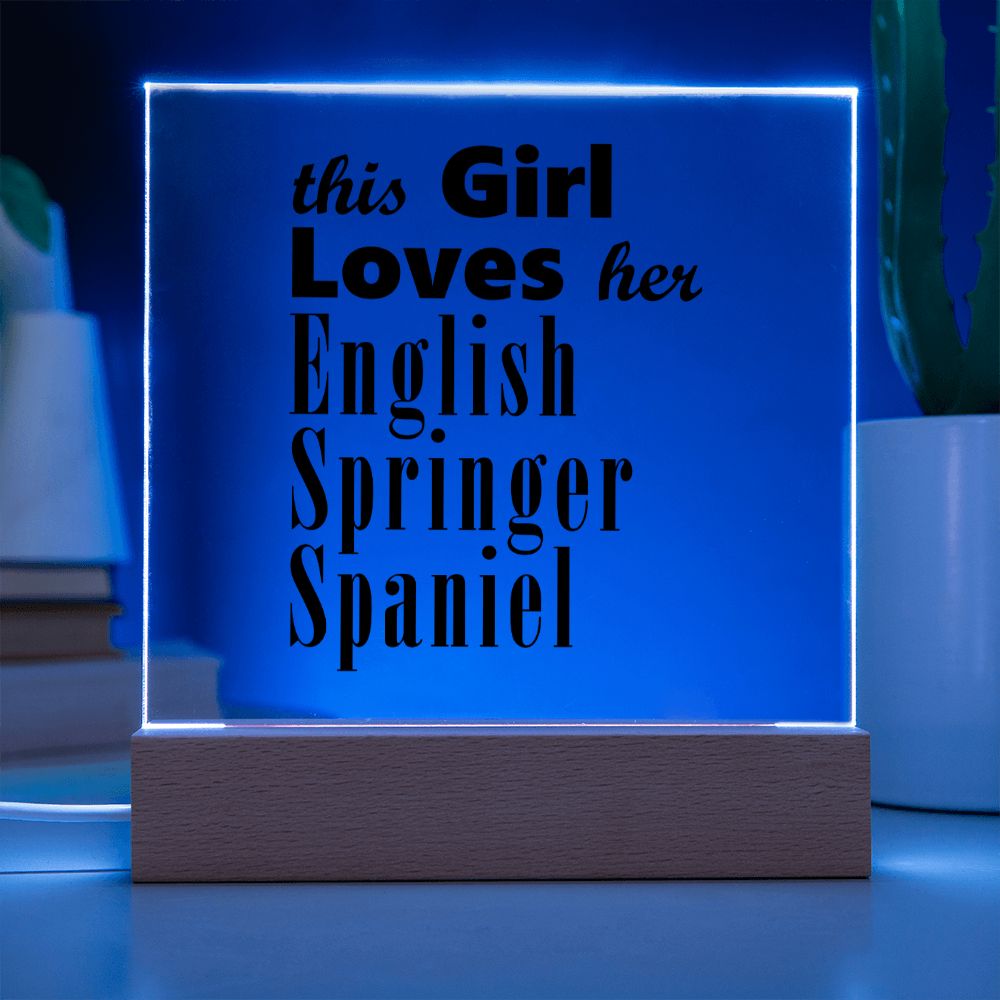 English Springer Spaniel - Square Acrylic Plaque
