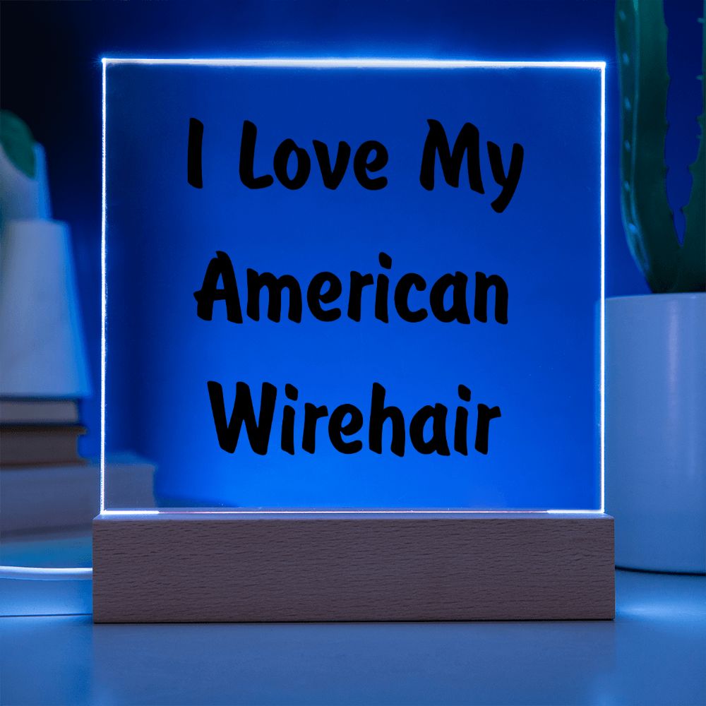 Love My American Wirehair - Square Acrylic Plaque