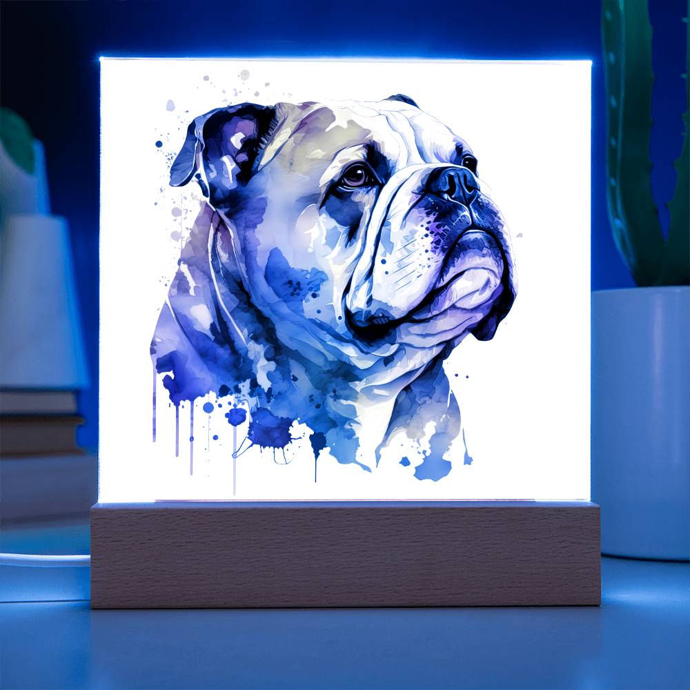 Bulldog (Watercolor) 03 - Square Acrylic Plaque