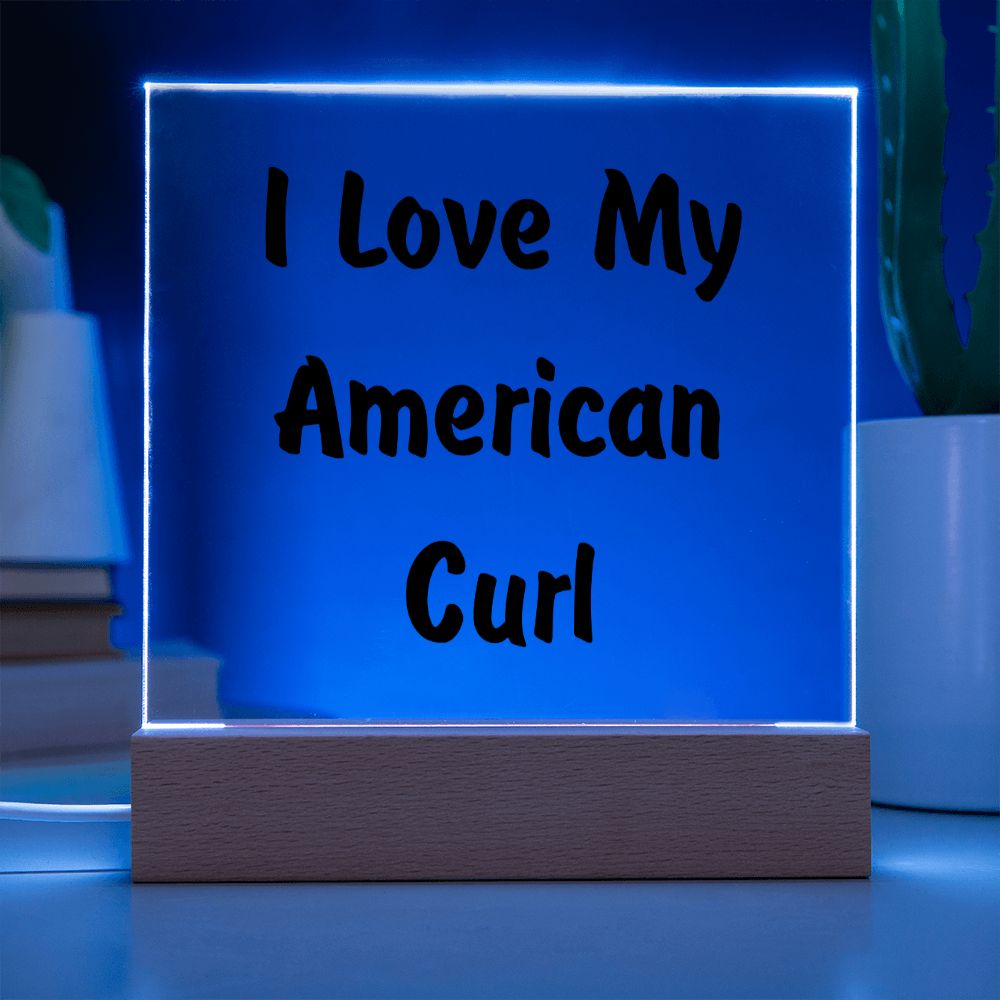 Love My American Curl - Square Acrylic Plaque
