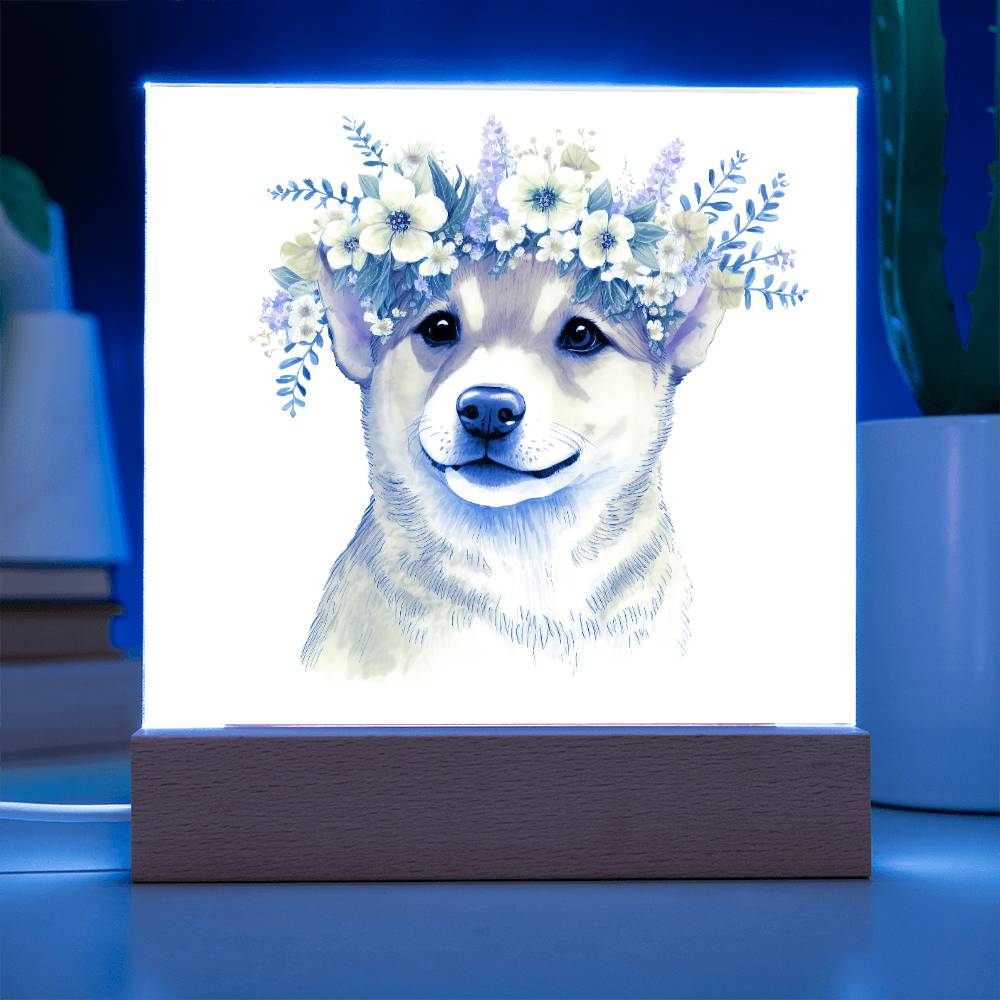 Dog And Spring Flowers (Watercolor) 06 - Square Acrylic Plaque