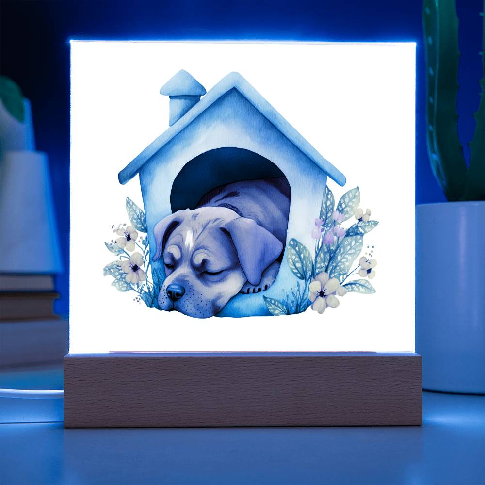Dog Sleeping (Watercolor) 08 - Square Acrylic Plaque