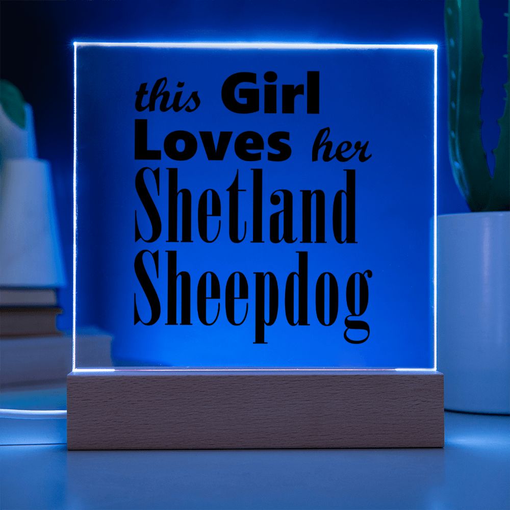 Shetland Sheepdog - Square Acrylic Plaque