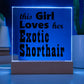 Exotic Shorthair - Square Acrylic Plaque