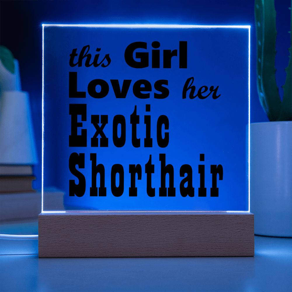 Exotic Shorthair - Square Acrylic Plaque