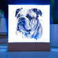 Bulldog (Watercolor) 04 - Square Acrylic Plaque