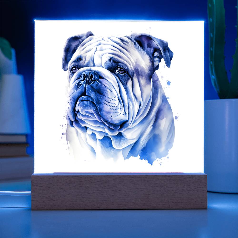 Bulldog (Watercolor) 04 - Square Acrylic Plaque