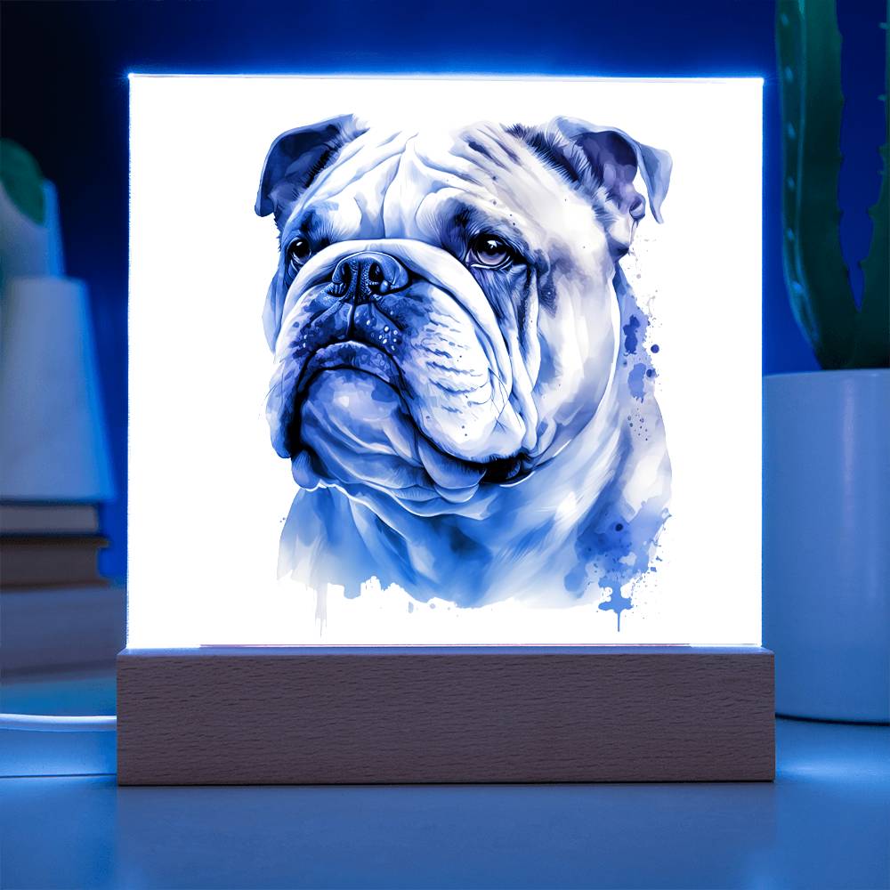 Bulldog (Watercolor) 02 - Square Acrylic Plaque