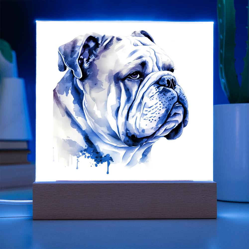 Bulldog (Watercolor) 05 - Square Acrylic Plaque