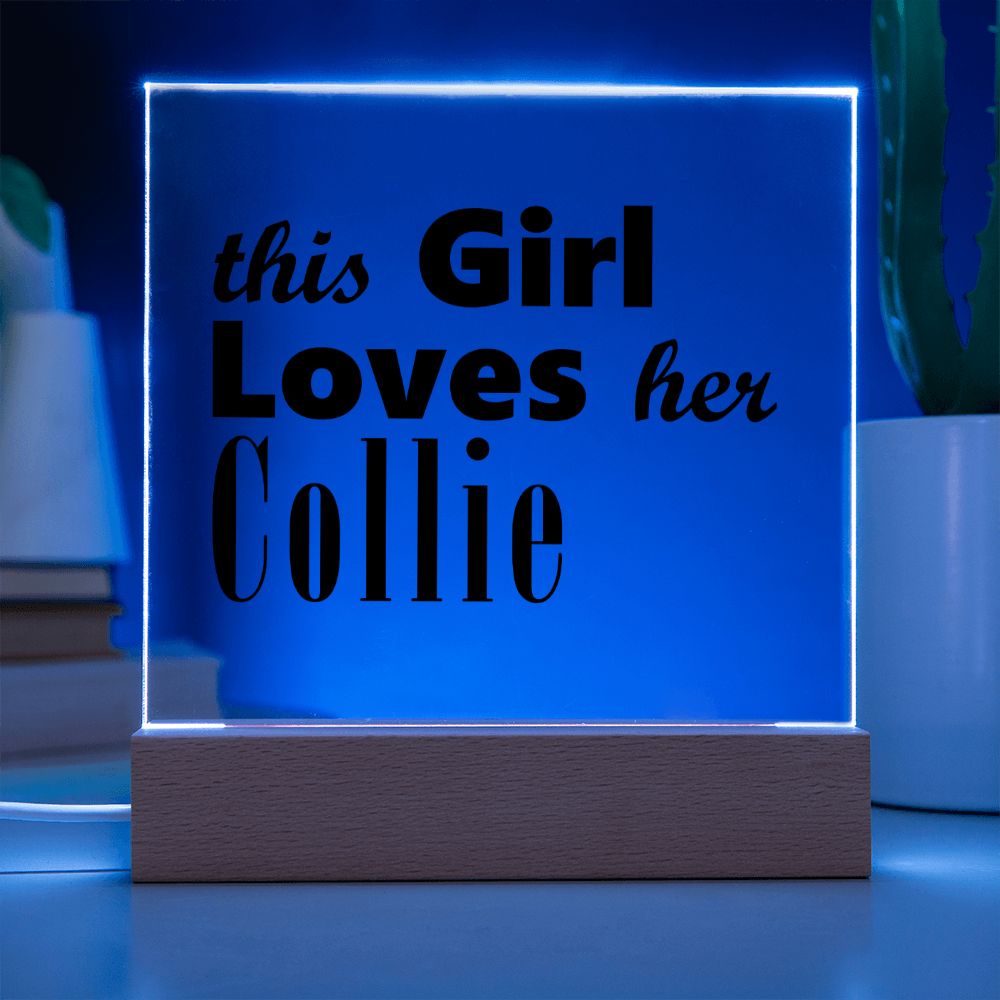 Collie - Square Acrylic Plaque