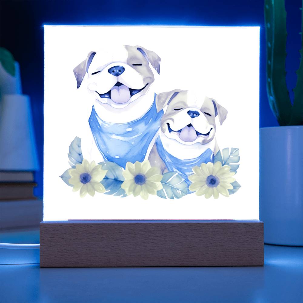 Bulldog And Flowers (Watercolor) 05 - Square Acrylic Plaque