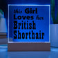 British Shorthair - Square Acrylic Plaque