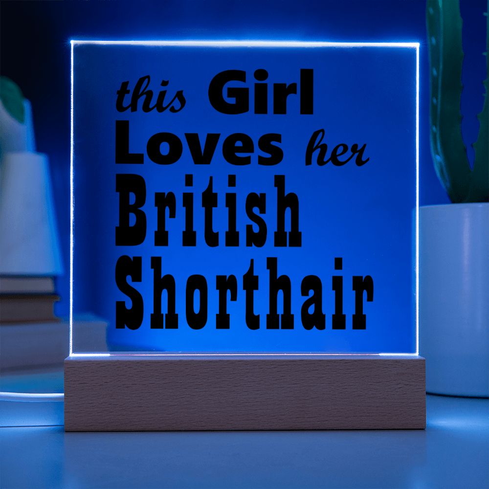 British Shorthair - Square Acrylic Plaque