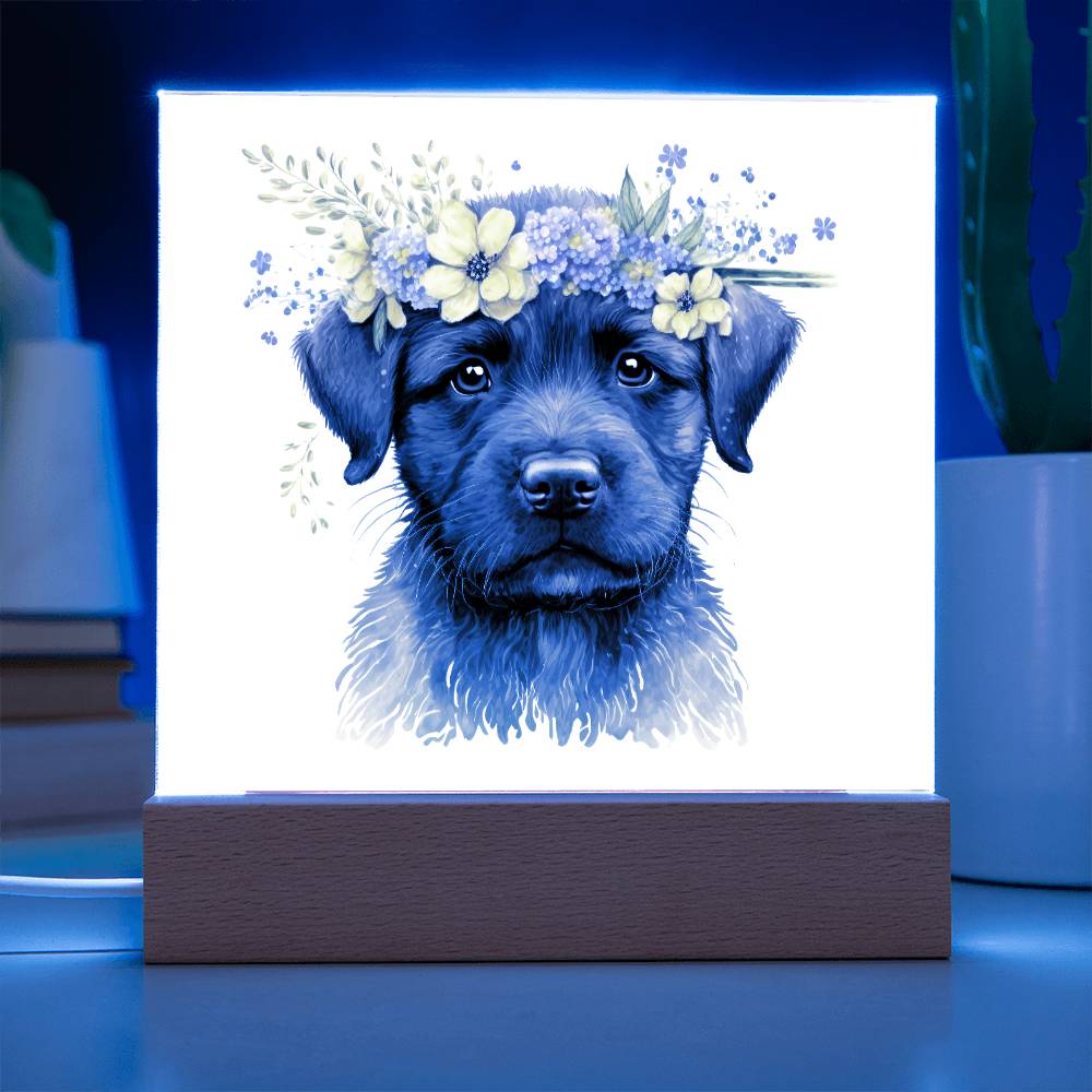 Dog And Spring Flowers (Watercolor) 08 - Square Acrylic Plaque