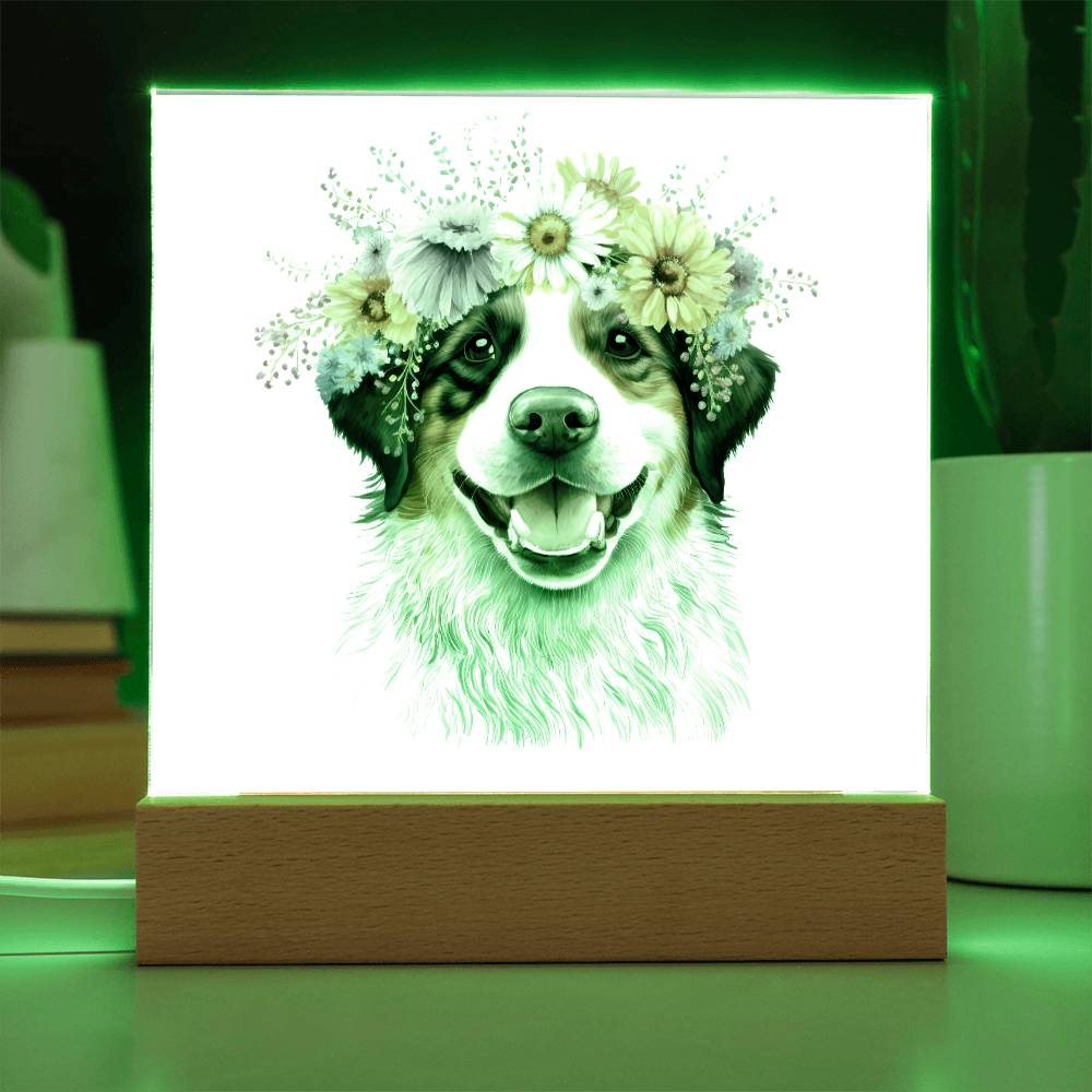 Dog And Spring Flowers (Watercolor) 09 - Square Acrylic Plaque