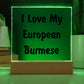 Love My European Burmese - Square Acrylic Plaque