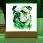 Bulldog (Watercolor) 02 - Square Acrylic Plaque