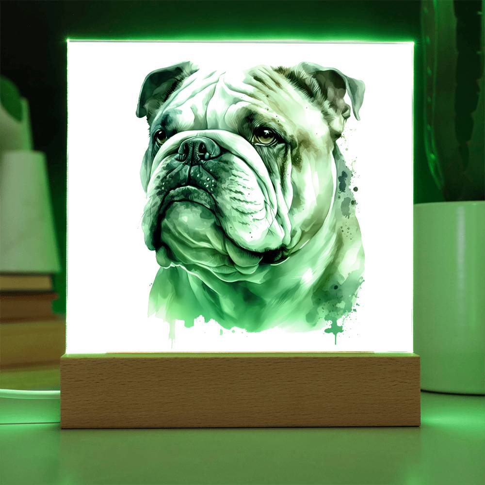 Bulldog (Watercolor) 02 - Square Acrylic Plaque