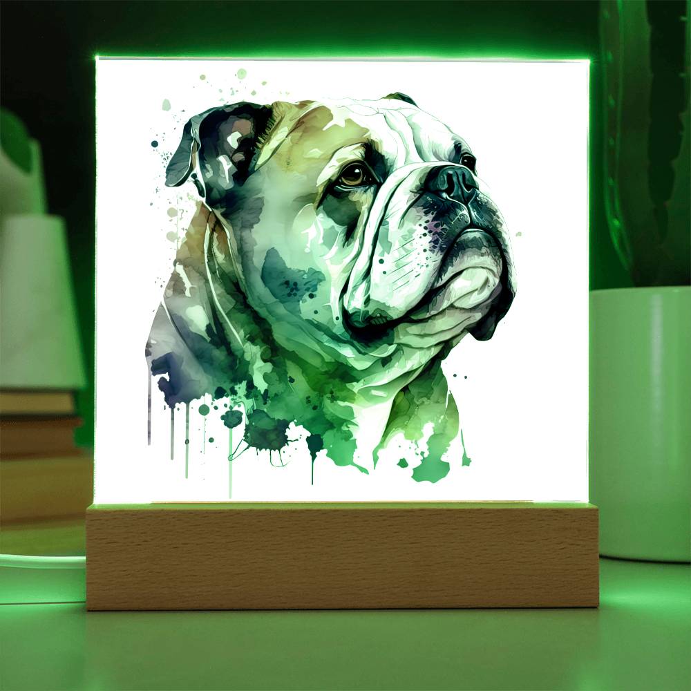Bulldog (Watercolor) 03 - Square Acrylic Plaque