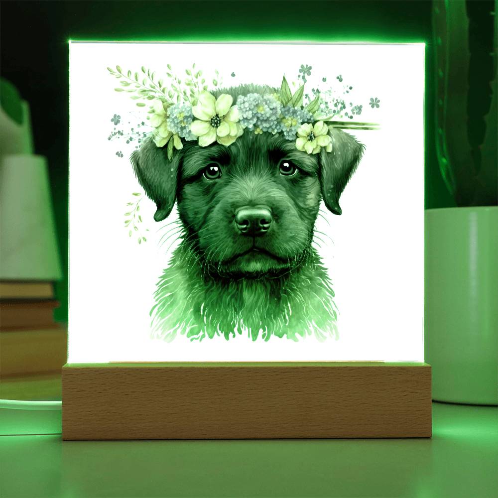 Dog And Spring Flowers (Watercolor) 08 - Square Acrylic Plaque
