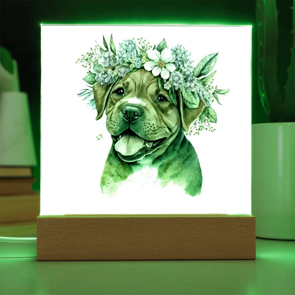 Dog And Spring Flowers (Watercolor) 04 - Square Acrylic Plaque