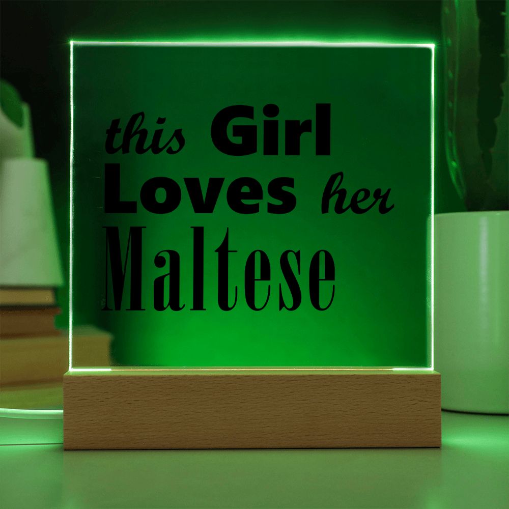 Maltese - Square Acrylic Plaque